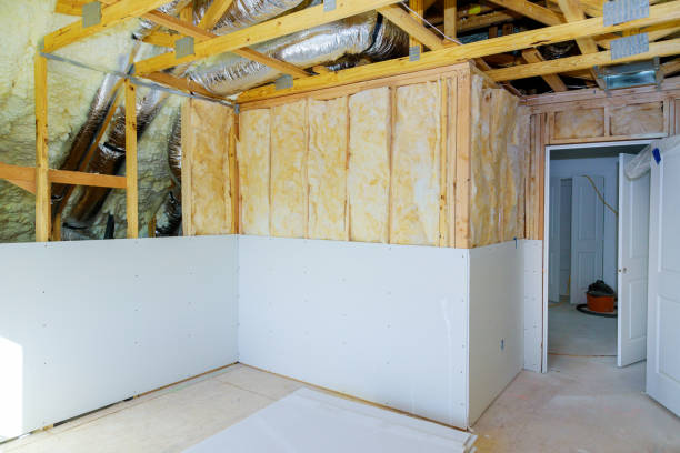 Professional Insulation Contractor in Ravenna, MI