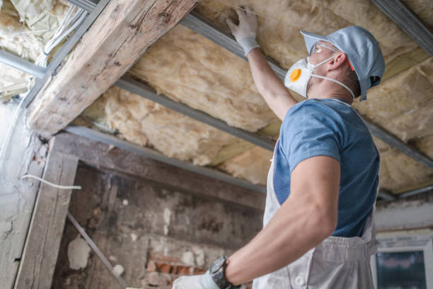 Types of Insulation We Offer in Ravenna, MI