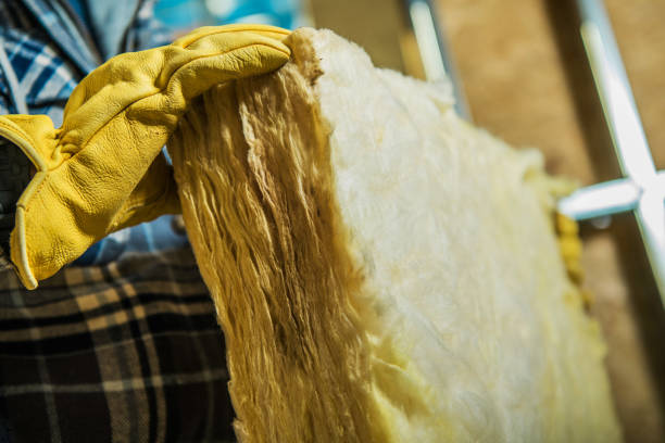 Best Residential Insulation in Ravenna, MI