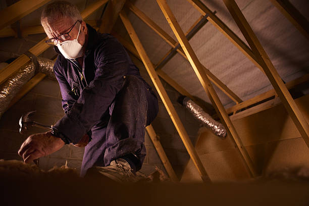 Best Insulation Maintenance and Repair in Ravenna, MI